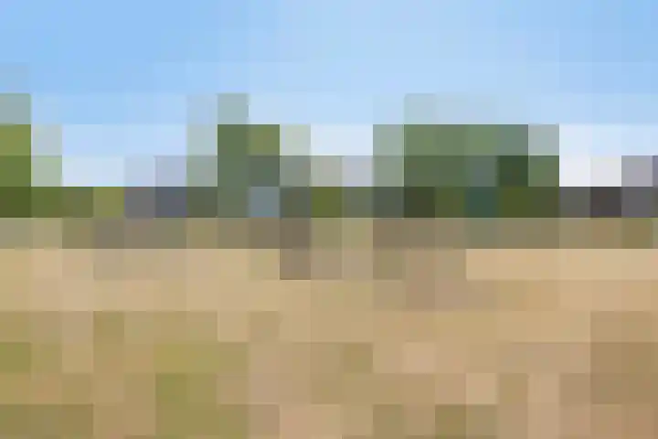 de Meren 1314 Wijchen thumbnail 34