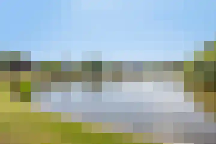 de Meren 1314 Wijchen thumbnail 35
