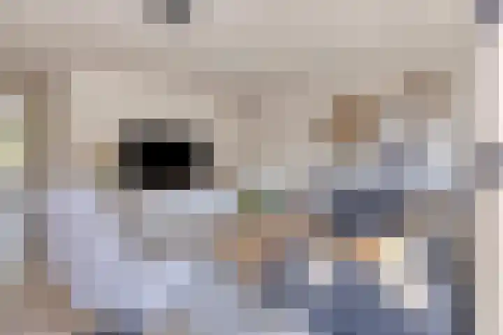 de Meren 1314 Wijchen thumbnail 5
