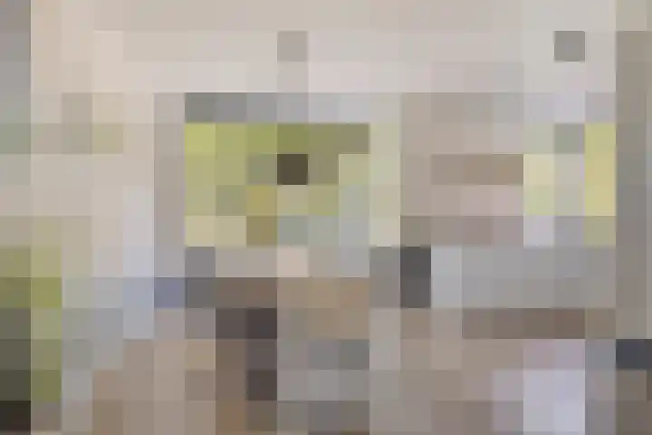 de Meren 1314 Wijchen thumbnail 8