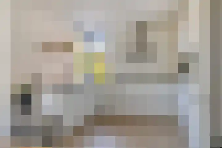 de Meren 1314 Wijchen thumbnail 9