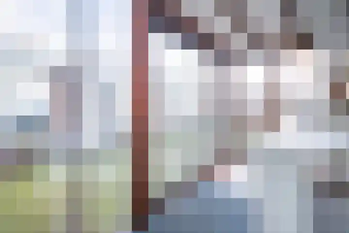 de Merodestraat 1 Zoeterwoude thumbnail 21