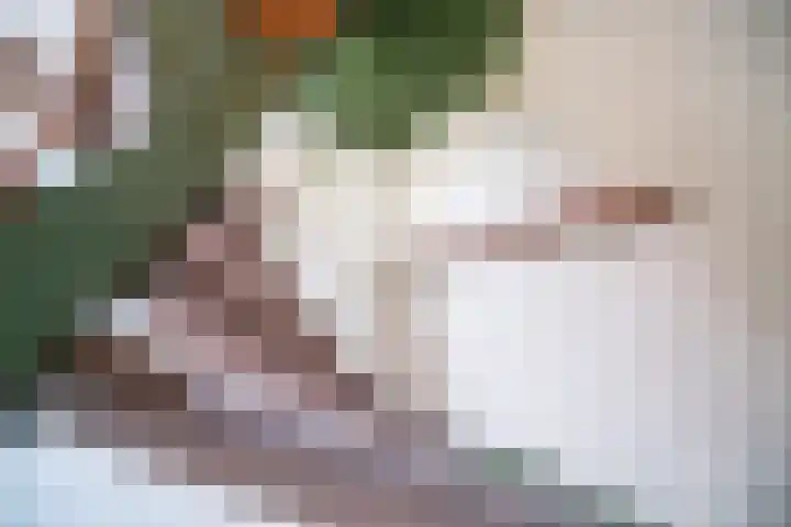 de Merodestraat 1 Zoeterwoude thumbnail 28