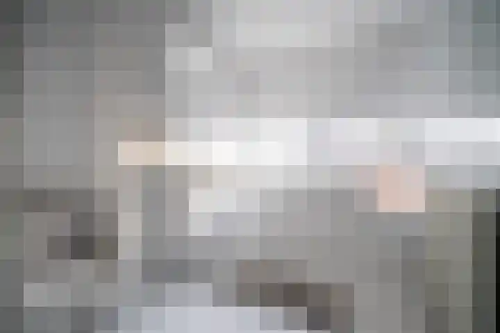 de Merodestraat 1 Zoeterwoude thumbnail 36