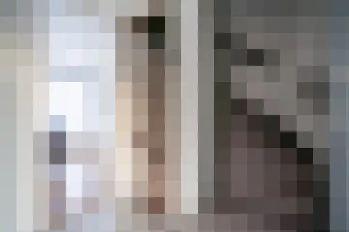 de Merodestraat 1 Zoeterwoude thumbnail 42