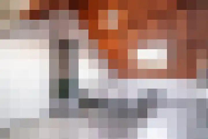 de Merodestraat 1 Zoeterwoude thumbnail 48