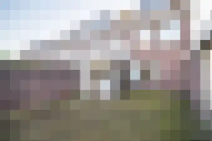 de Merodestraat 1 Zoeterwoude thumbnail 5