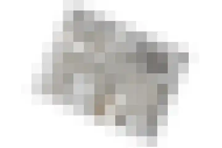de Merodestraat 1 Zoeterwoude thumbnail 55