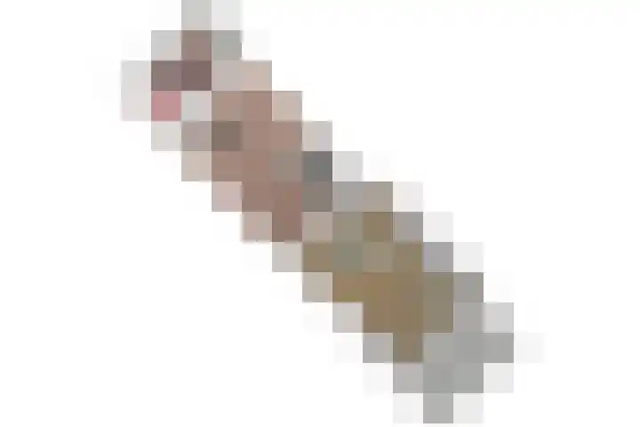 de Merodestraat 1 Zoeterwoude thumbnail 58