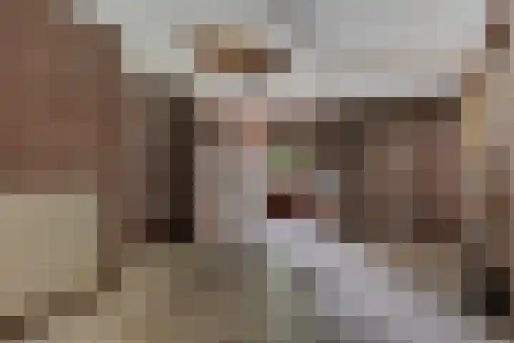 de Meute 40 Creil thumbnail 10