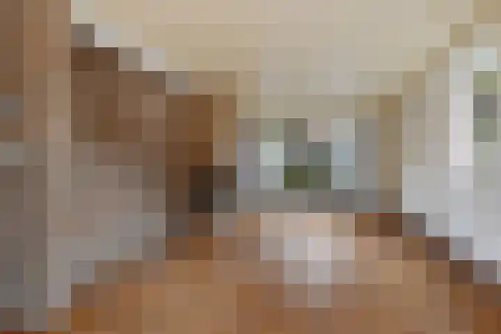 de Meute 40 Creil thumbnail 18