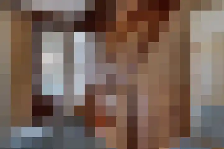 de Meute 40 Creil thumbnail 23