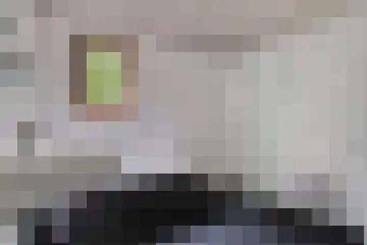 de Meute 40 Creil thumbnail 29