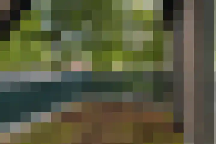 de Meute 40 Creil thumbnail 31