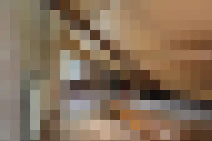de Meute 40 Creil thumbnail 32