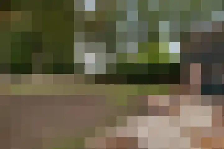 de Meute 40 Creil thumbnail 38