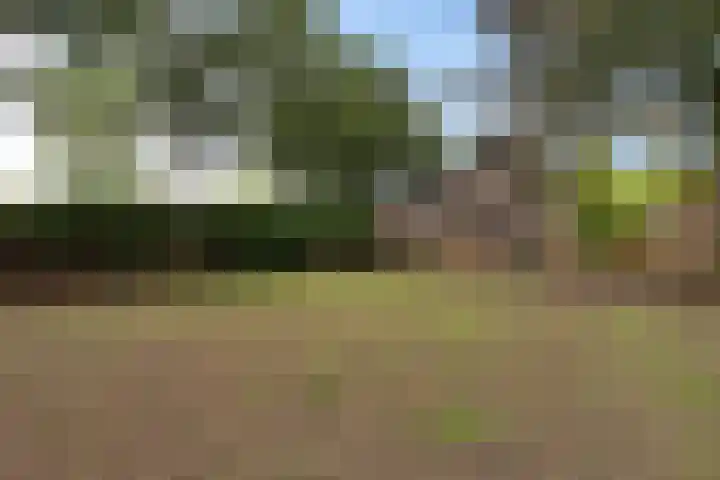 de Meute 40 Creil thumbnail 40