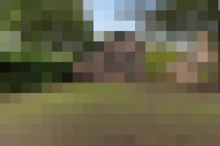 de Meute 40 Creil thumbnail 41