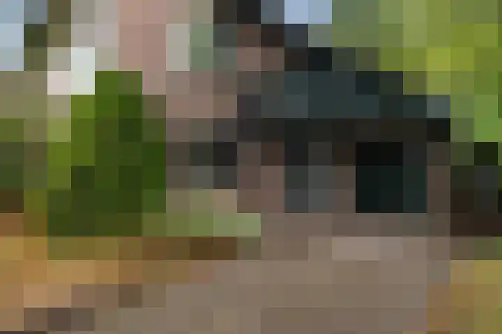 de Meute 40 Creil thumbnail 6