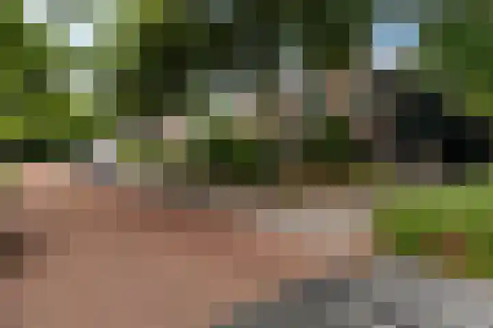 de Meute 40 Creil thumbnail 7