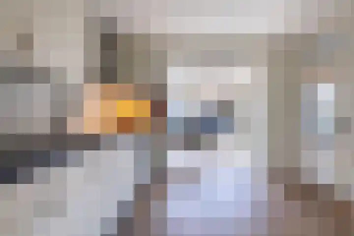 De Mieden 58 Warten thumbnail 22