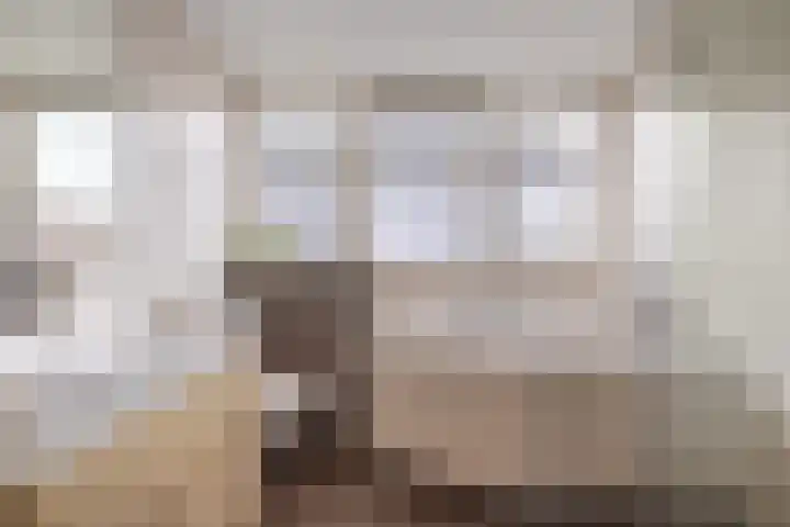 De Mieden 58 Warten thumbnail 33