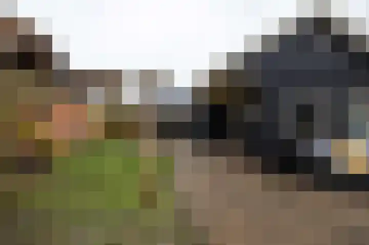 De Mieden 58 Warten thumbnail 45