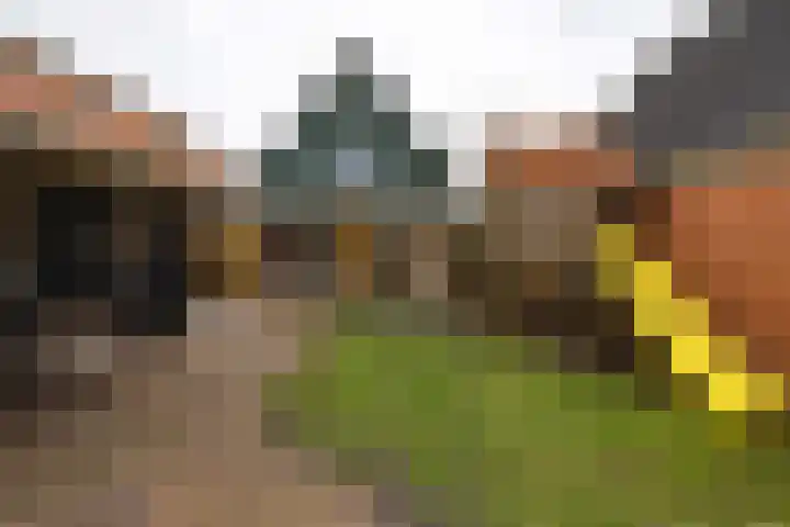 De Mieden 58 Warten thumbnail 5