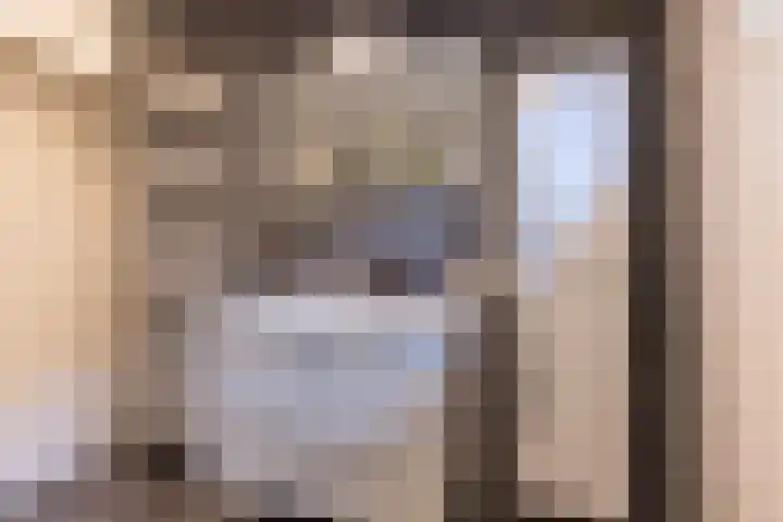 De Miggelt 46 Aalten thumbnail 11
