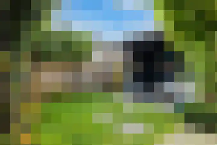 De Miggelt 46 Aalten thumbnail 19