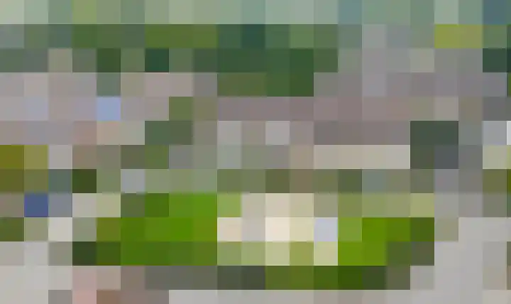 De Miggelt 46 Aalten thumbnail 21