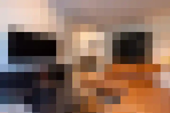 De Miggelt 46 Aalten thumbnail 5
