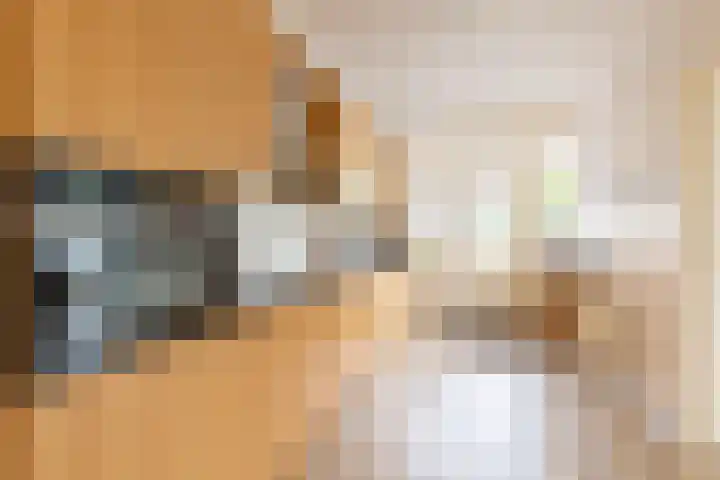 De Misse 12 Berlicum thumbnail 13