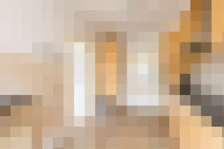 De Misse 12 Berlicum thumbnail 14