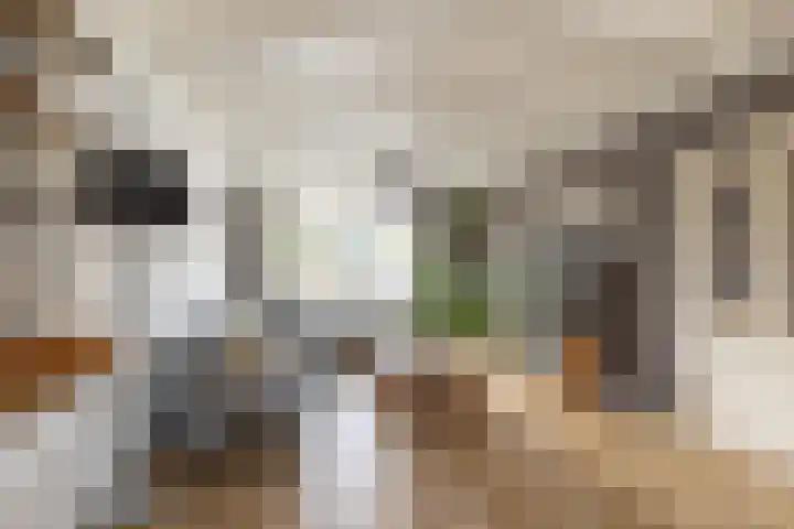 De Misse 12 Berlicum thumbnail 17