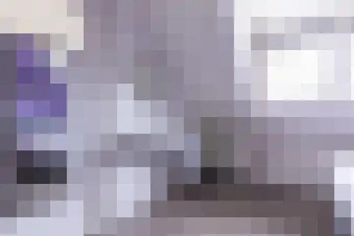 De Misse 12 Berlicum thumbnail 37