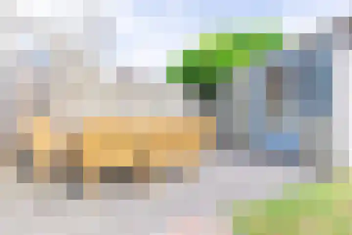 De Misse 12 Berlicum thumbnail 42