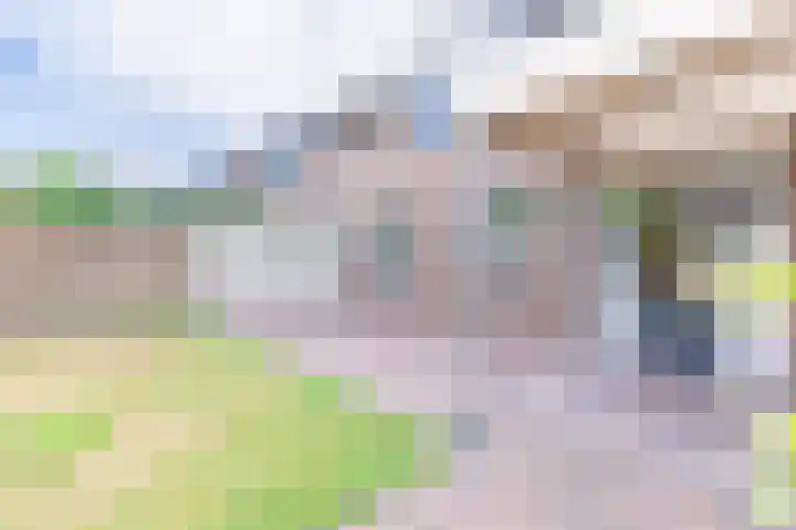 De Misse 12 Berlicum thumbnail 43