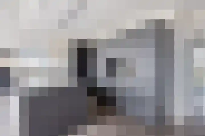 De Misse 129 Uden thumbnail 20
