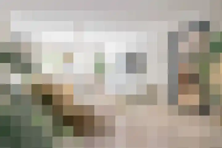 De Mississippi 2 Drunen thumbnail 11