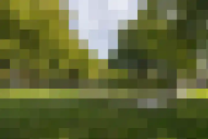 De Mississippi 2 Drunen thumbnail 52