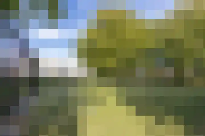 De Mississippi 2 Drunen thumbnail 53