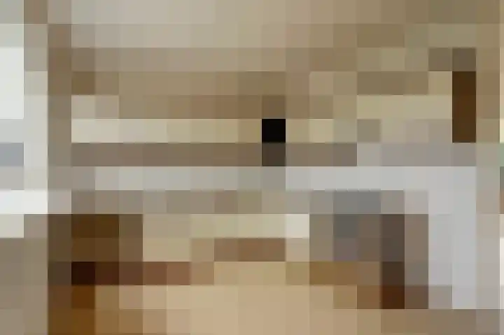 De Moesmate 4 Zutphen thumbnail 10