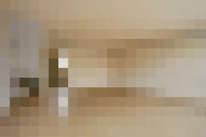 De Moesmate 4 Zutphen thumbnail 13