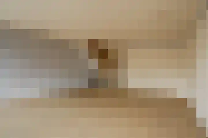 De Moesmate 4 Zutphen thumbnail 14