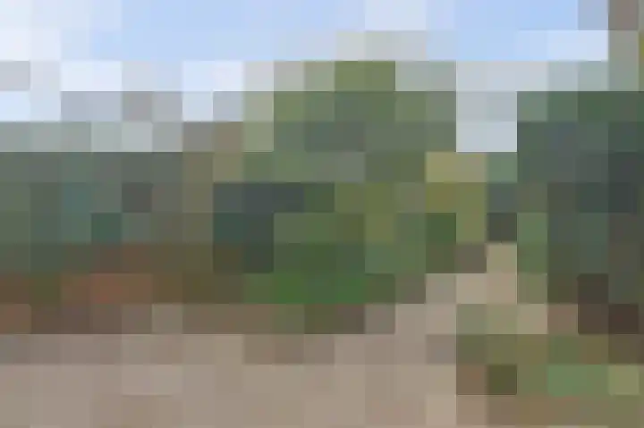 De Moesmate 4 Zutphen thumbnail 33