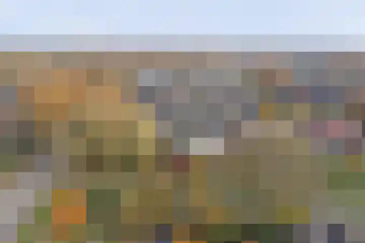 De Moesmate 4 Zutphen thumbnail 37