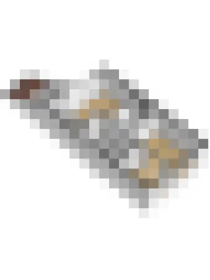 De Moesmate 4 Zutphen thumbnail 45