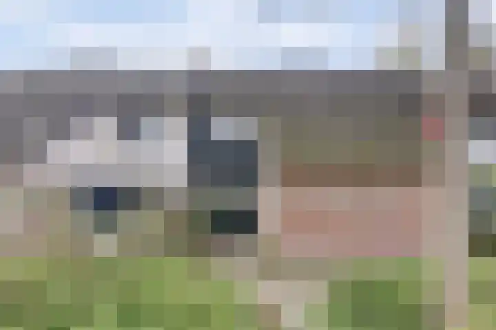 De Moesmate 4 Zutphen thumbnail 6