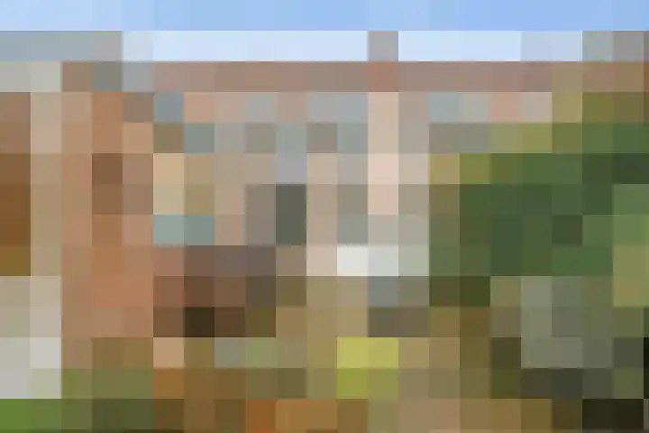 De Moestuin 15 Heiloo thumbnail 28